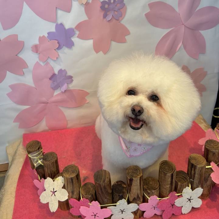 78b470ad a7b6 44f9 b77c 011679ab73a2 1681122580767