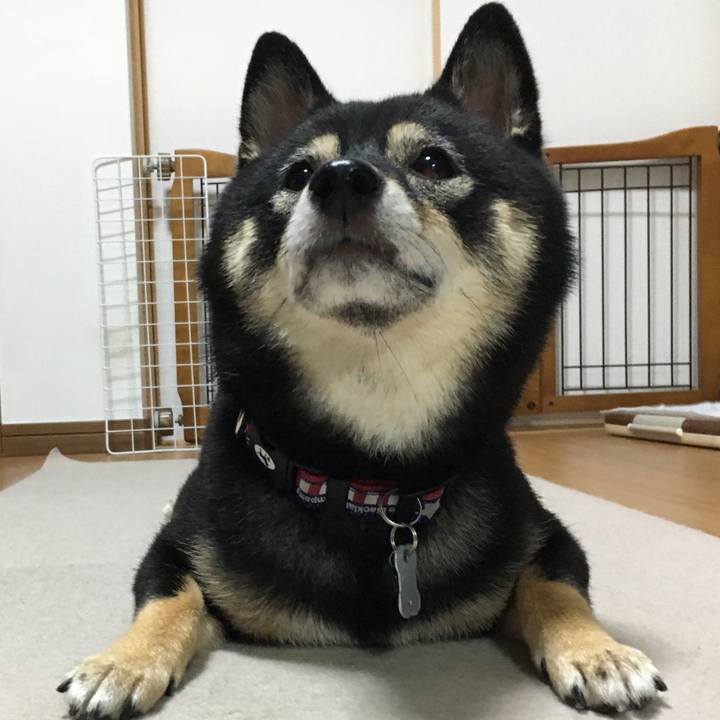 78b47121 c352 41e4 94c0 435e28e6e320 1758620018313