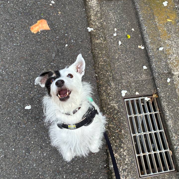 78b47344 f479 4c34 bb37 857e67ed7e59 1760228014759