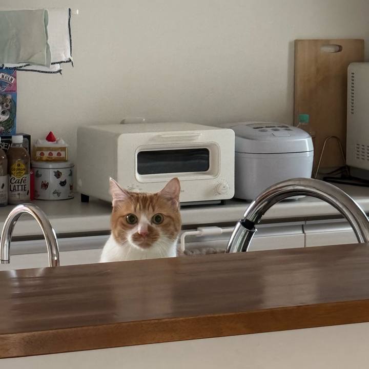 78b47481 fc4b 44f7 b58b 329aa1dea441 1763432599692