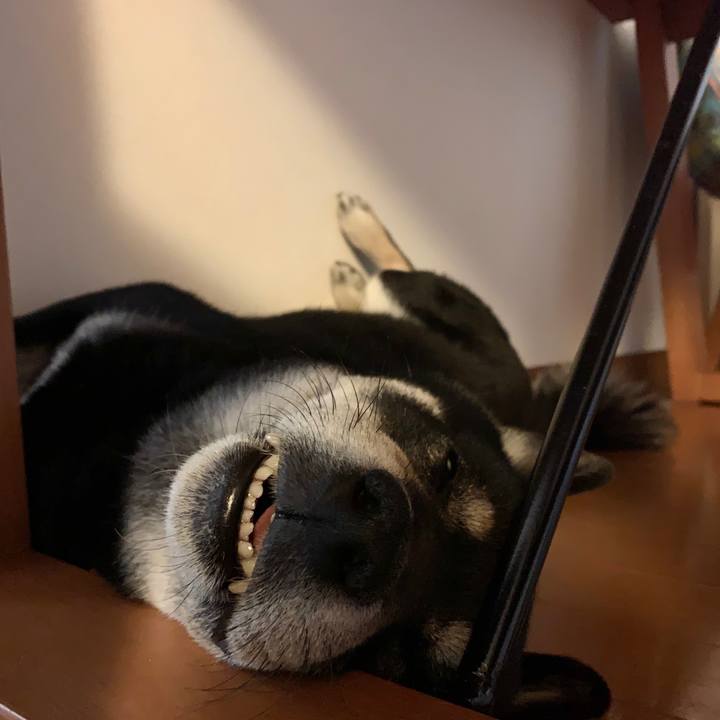 78b48048 dd9c 4d8d 99b1 a88bdee80ef9 1584719358479