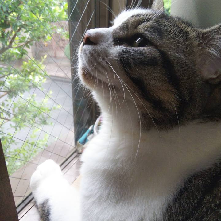 78b4d951 2cc8 487c 87d2 125cb1181447 1663448846704