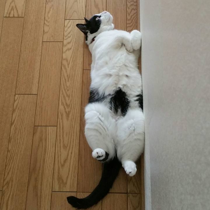 78b4ee12 3f0d 4430 9cb1 2decf0dfbfd7 1560469598302