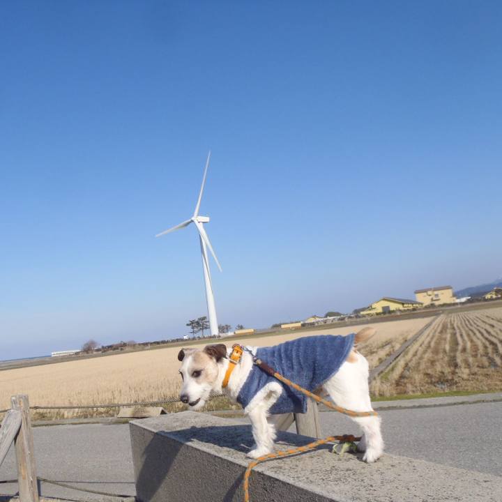 78b503af 82c6 4138 8abb 2661598f08c7 1548838831630