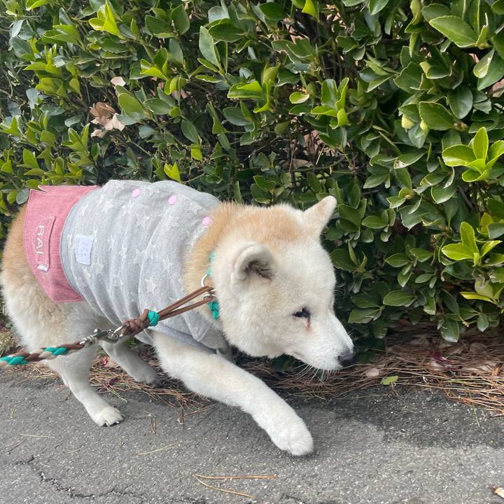 78b518e3 79cd 4f92 b7f5 d99e8042b3cf 1734910954790