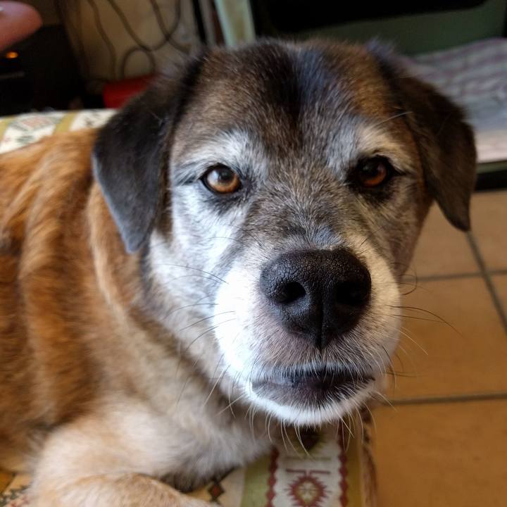 78b560e5 1350 42a7 b637 bb9d28eb6f21 1533192482210