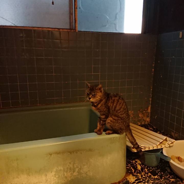 78b56204 b5fc 4665 b1a2 354bd5235a29 1593598329043