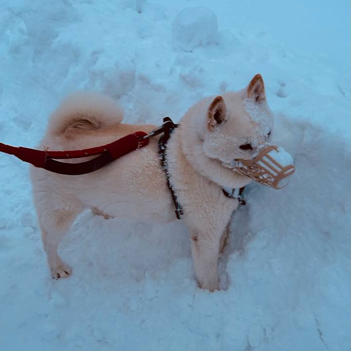 78b5722c 5761 48b6 913e 3f2c82c0d10d 1734048848398