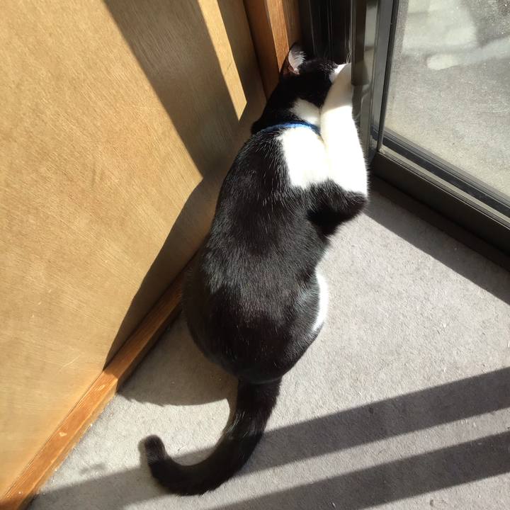 78b5936f 5f08 4e23 8c8e b4a32dd8cbd3 1678085767019