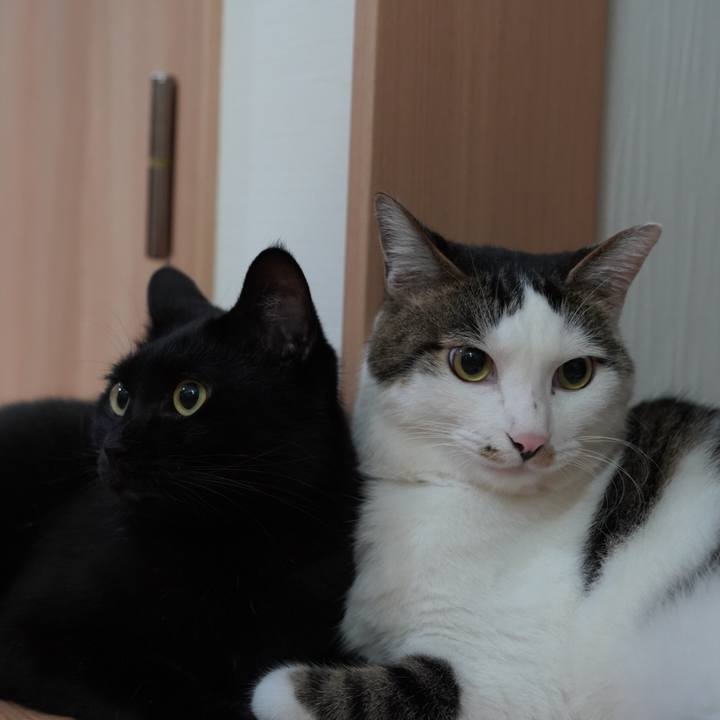 78b5a2a1 22e5 4532 aed3 6c7946eebfb6 1627477567907