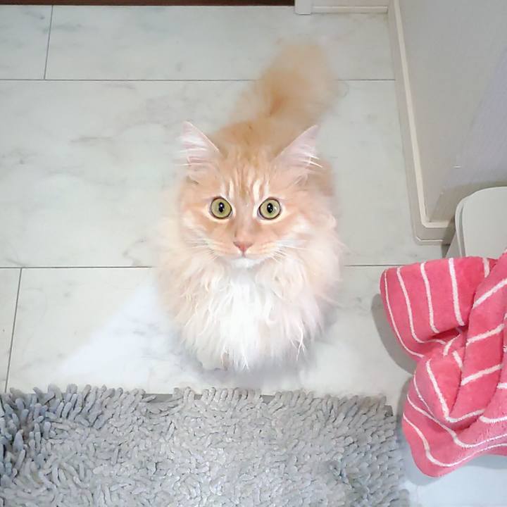 78b5a98c 29e7 4628 9e12 06b1498be6a1 1748396220976