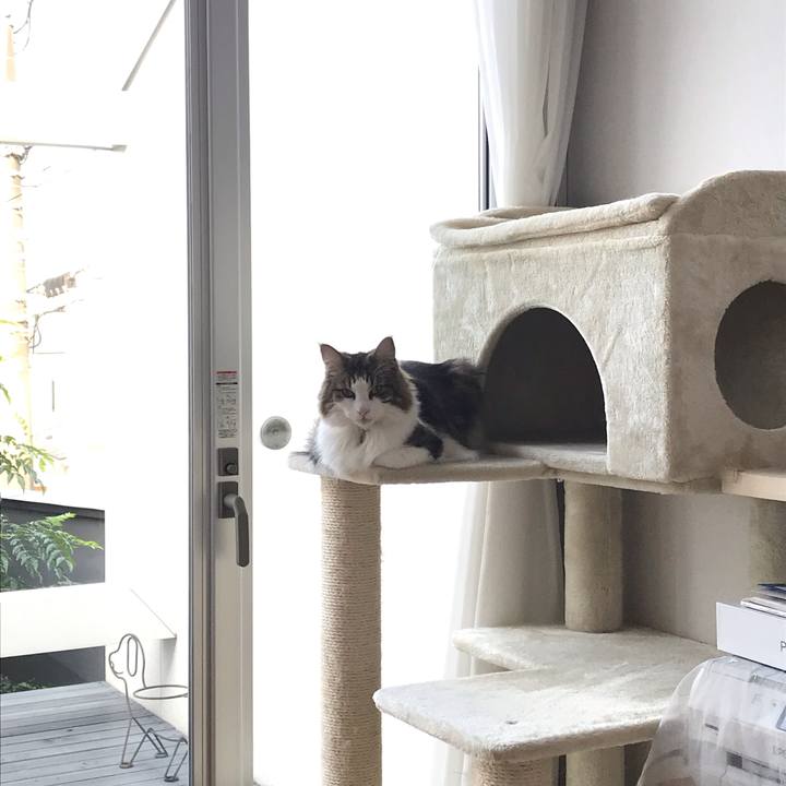 78b5f1d9 f63f 4177 b108 564718994c07 1601592248047