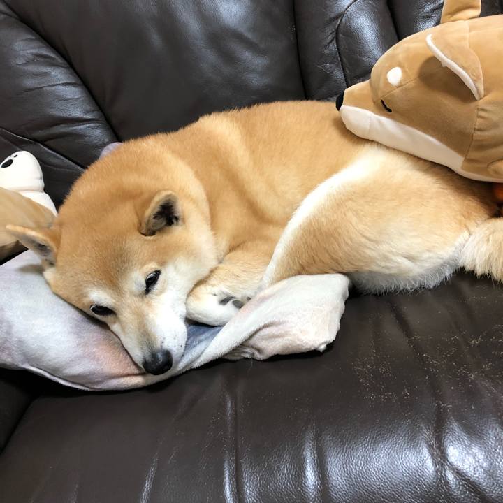 78b62711 5b87 4e14 b3fa 030426d0fa64 1552526147235