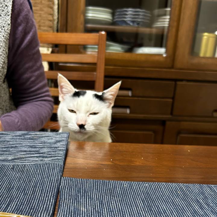 78b630b3 5460 4ebc 80f4 4c0b34cfacc3 1711256348393