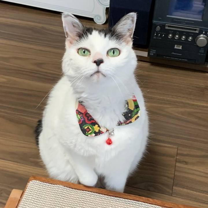 78b6356a 3903 4d65 8ae6 a0d99723c030 1652815159974