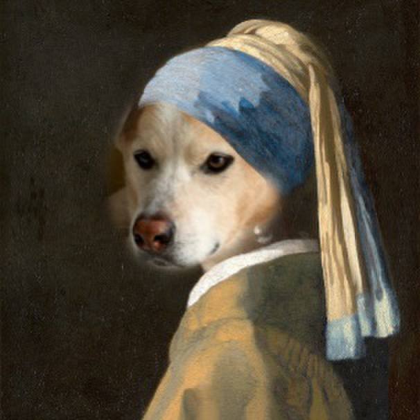 78b68ad5 9e0b 4633 8e5a 03552d6ef95a 1635496942722