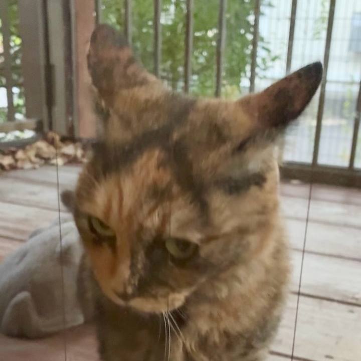 78b69191 349a 4cf8 9457 8d8bf331d352 1762336403729