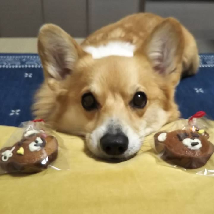 78b6d2a0 5285 4400 af38 9f2d3eb0115d 1550403778251