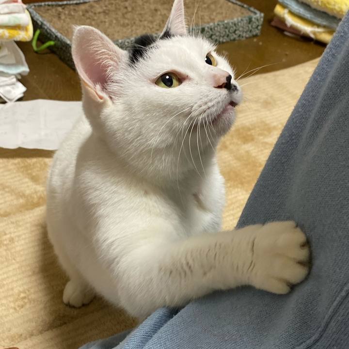 78b6d49f dd48 4af3 962b 8b094c343ff9 1573906792675