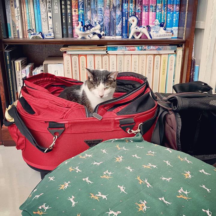 78b6f5fb bb8f 4649 8283 e40c9274d2bc 1595656751777