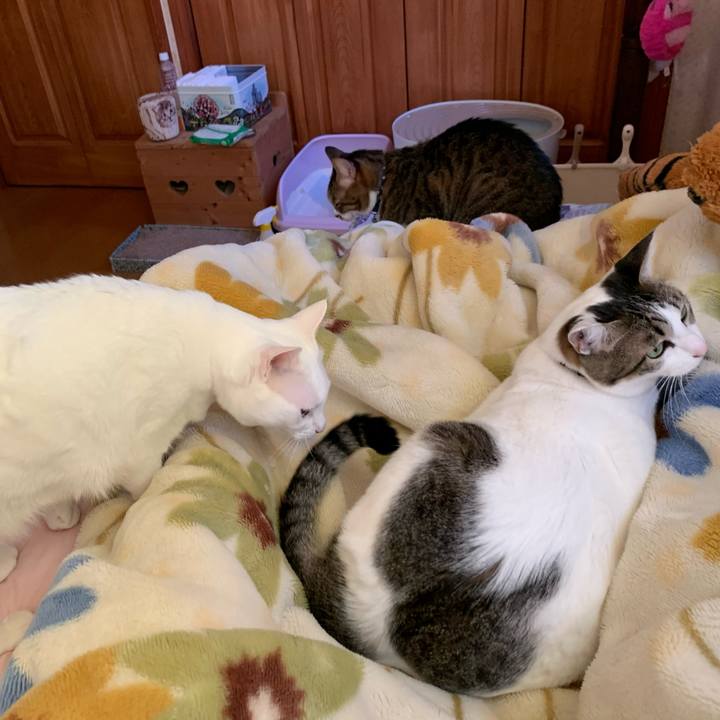 78b705ba 506d 4b04 b8b2 9546a9a6fd85 1605935501849