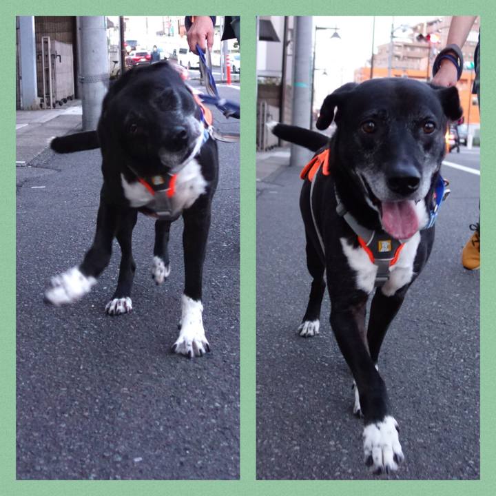 78b71c9f 5572 402c a356 28033633d507 1749121664501