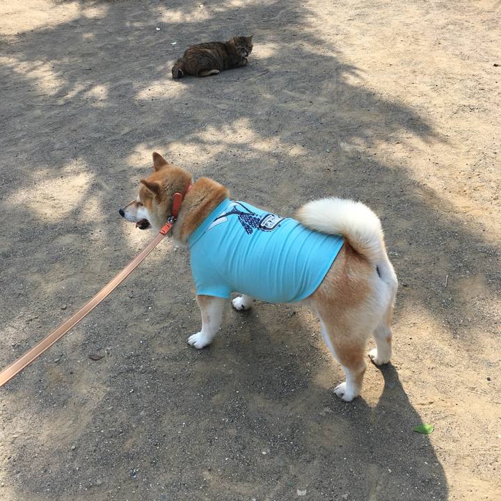 78b72c99 8118 42a9 8056 a1bffe3e3cd3 1613298247662