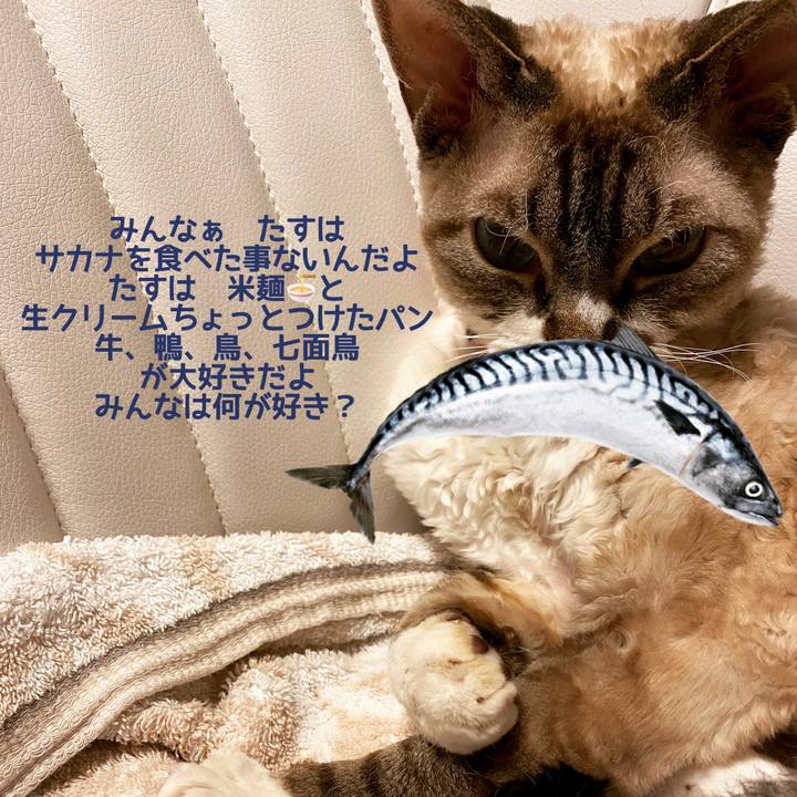 78b74e09 227d 4db0 99c8 a2c5b0fab57d 1655258163077