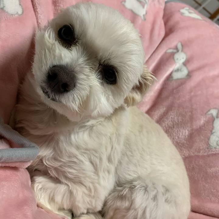 78b7518f 2a8d 41b4 954f de5783326547 1584439864708