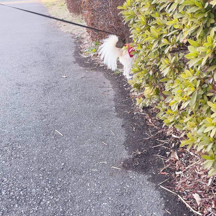 78b78698 1a88 41af b3af fbd7d6ebd524 1737791254120