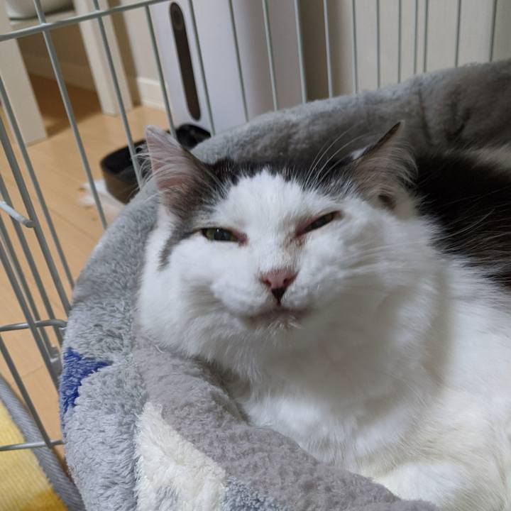 78b7a1fb 14f2 4fff a6c3 aa3c84e26544 1574692296237