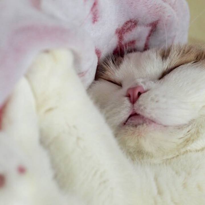 78b7a874 3ee1 432d 9ee5 c13fa65c35ff 1768606763724