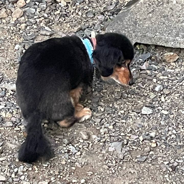 78b81c80 ac03 43c1 b3e6 85471636c573 1737179841884