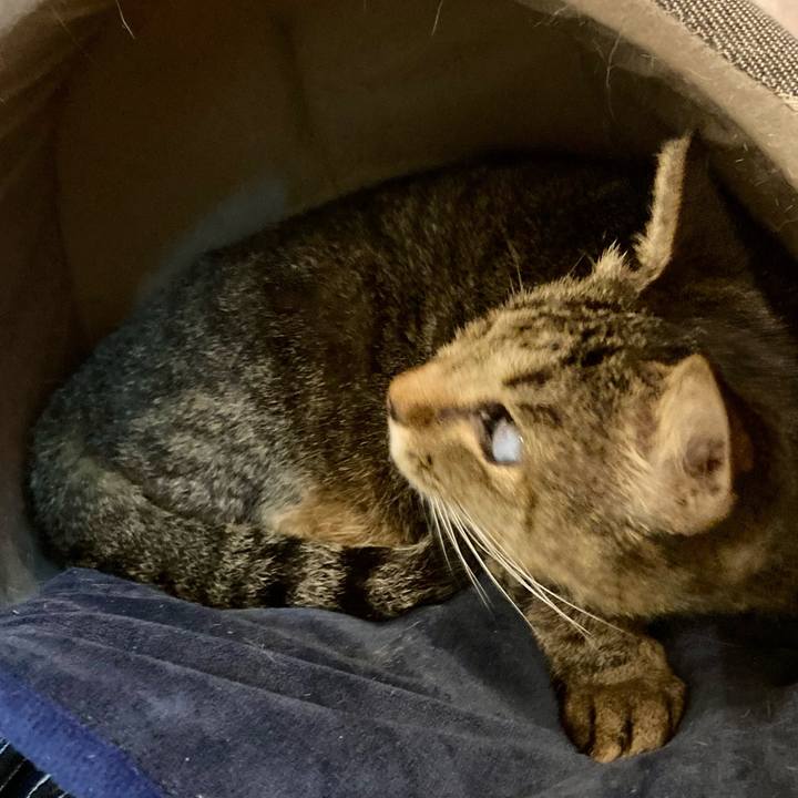 78b83f4a 4368 40f8 9908 71af16287a2a 1669638550982