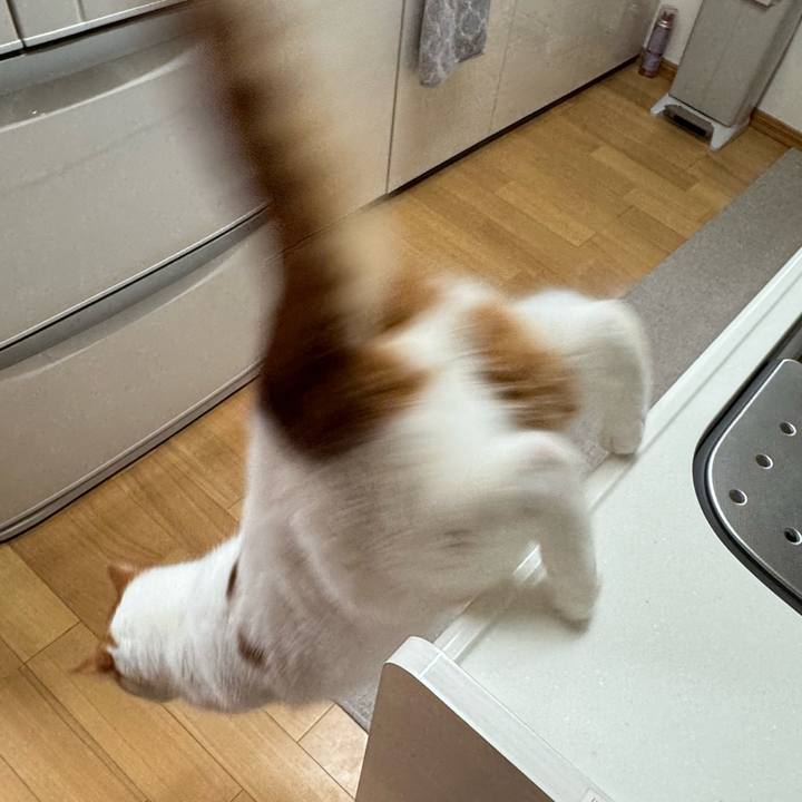 78b844f8 58fc 4872 b1ac d720f2cfca5d 1773801585384