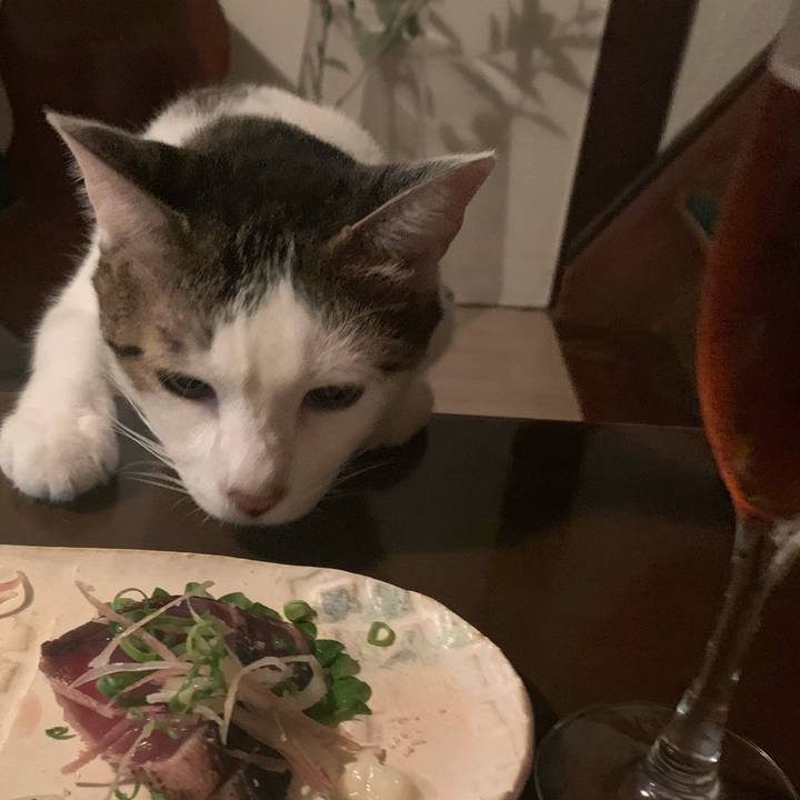 78b86e6d 371f 491c bfe4 5dbce204c24a 1630509784431