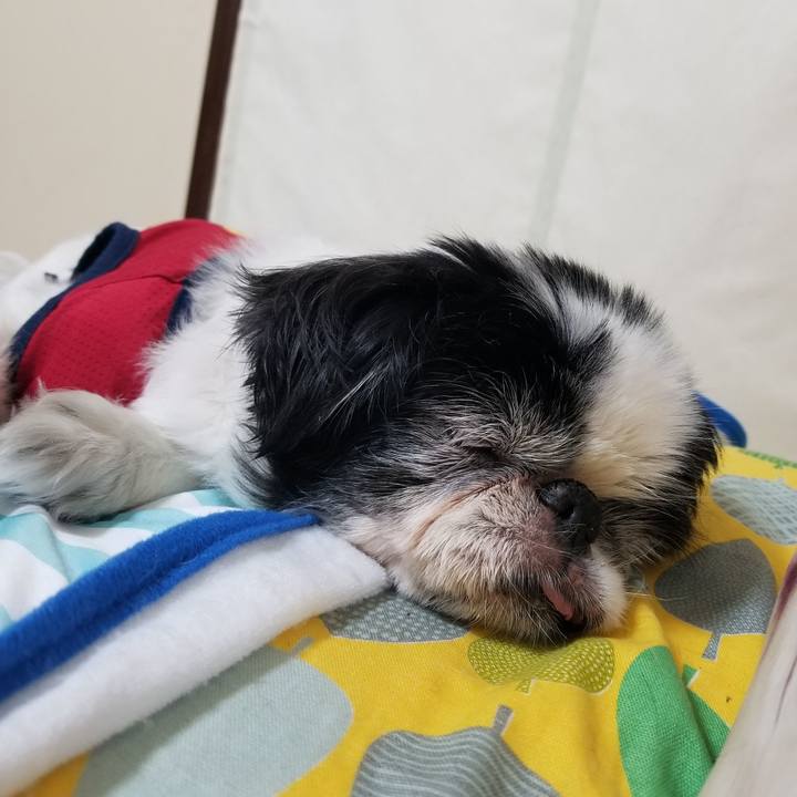 78b87e10 5479 426e 8e90 42f4005ae51c 1627038745788