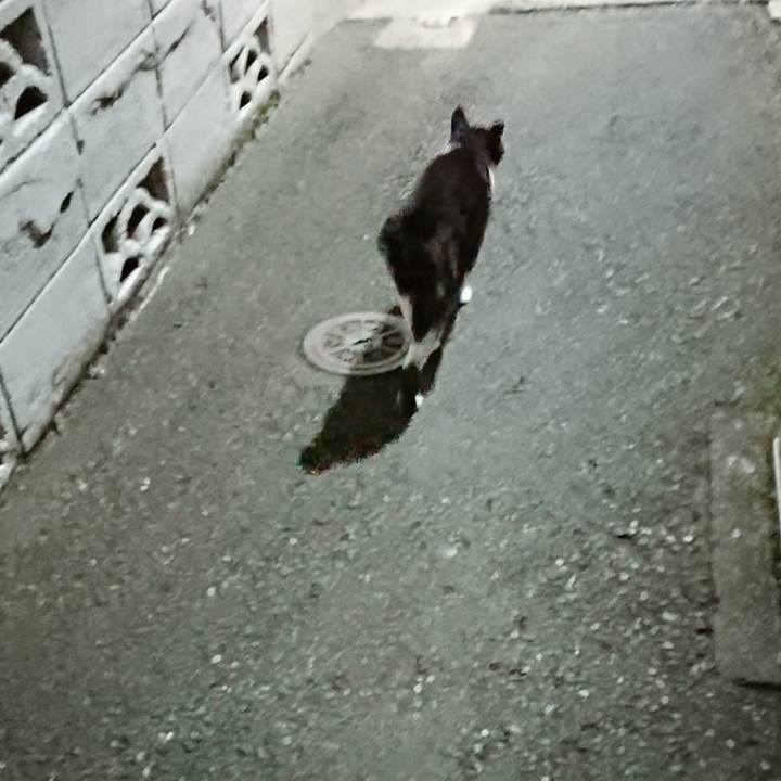 78b8a0b7 133a 450c ba0f c6b74f01bca8 1692628264417