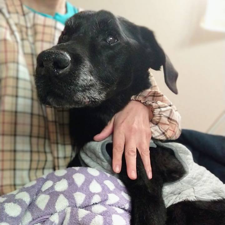 78b9364f bd62 455e a62e 0632190b7e80 1731399617582