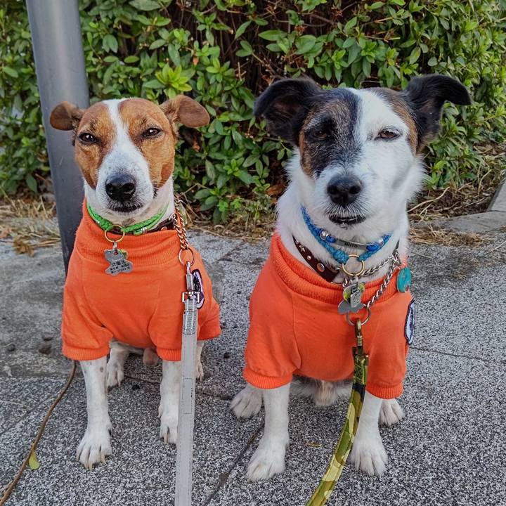 78b9547d 691f 4e5a a872 768c4acd9b47 1664837417963