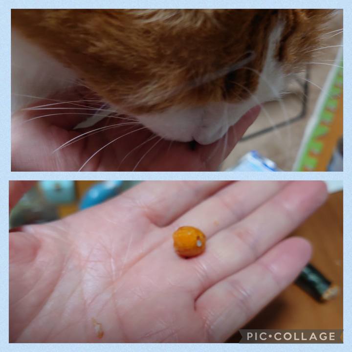 78b95803 e11f 4570 8903 4dcbcf2b9116 1644754614602