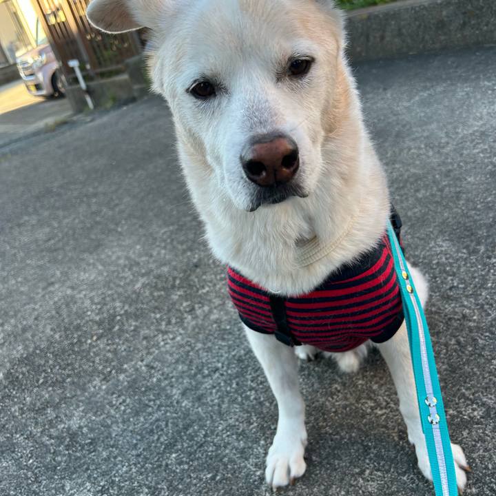 78b96a3f 2de0 49d1 8999 6060892442b5 1761604834662