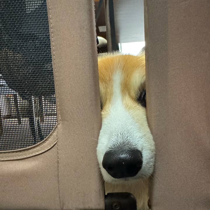 78b970e2 8433 45d1 89eb f1893a07a823 1764464852209