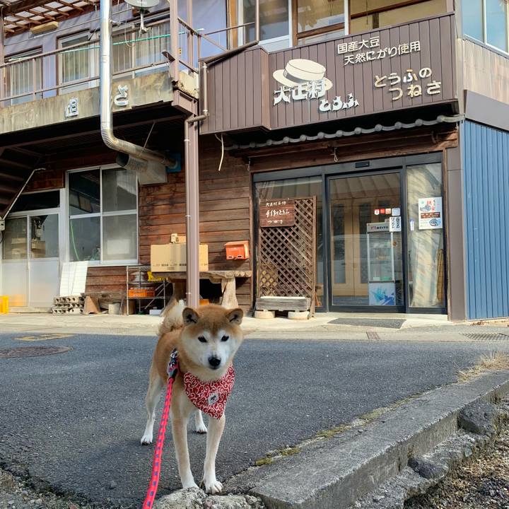 78b97a35 f73b 4cb0 b164 7a3498580df0 1642589479307