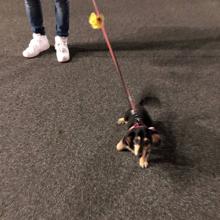 78b99366 d6dc 4862 932e d894ec05dfda 1561379683582