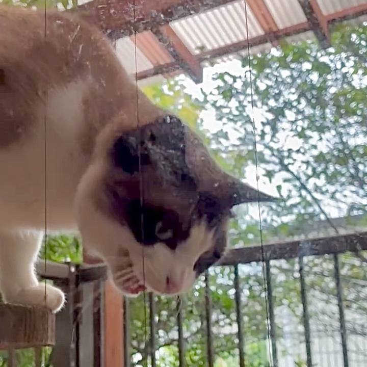 78b99e2a 700a 42fc bfa2 ad96cd16e1b5 1754706641647