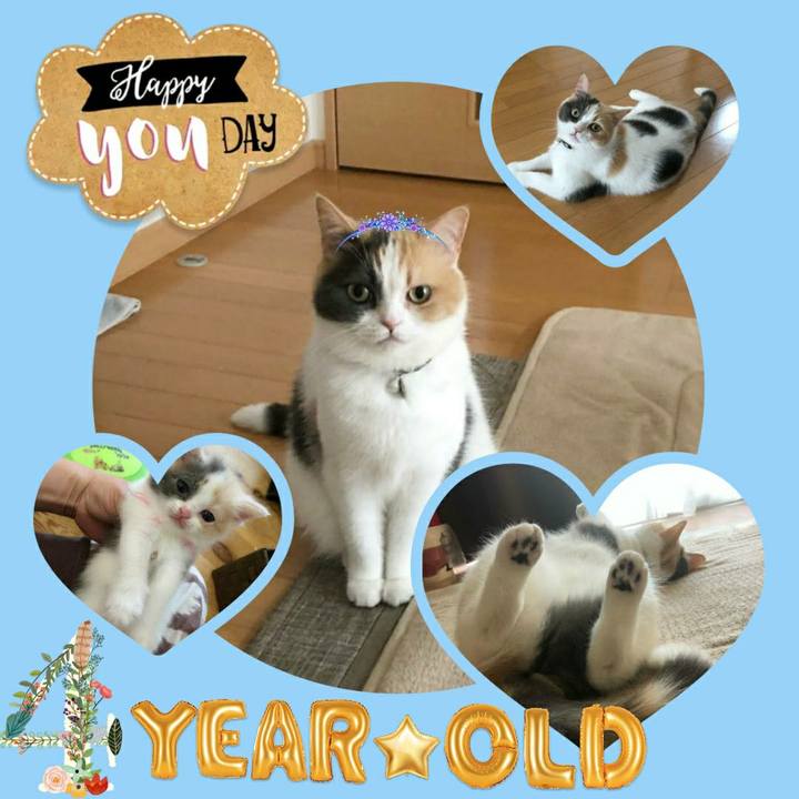 78b9b52c 6146 4256 ac7b 15a21a3b0d03 1627982684643