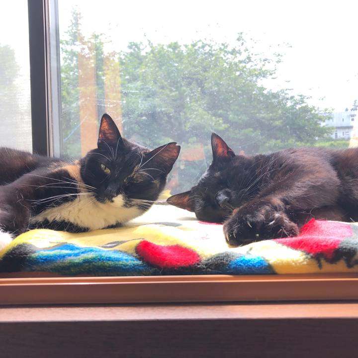 78b9c930 9eb2 46e4 85de 2b0bbc0268c6 1620964677182