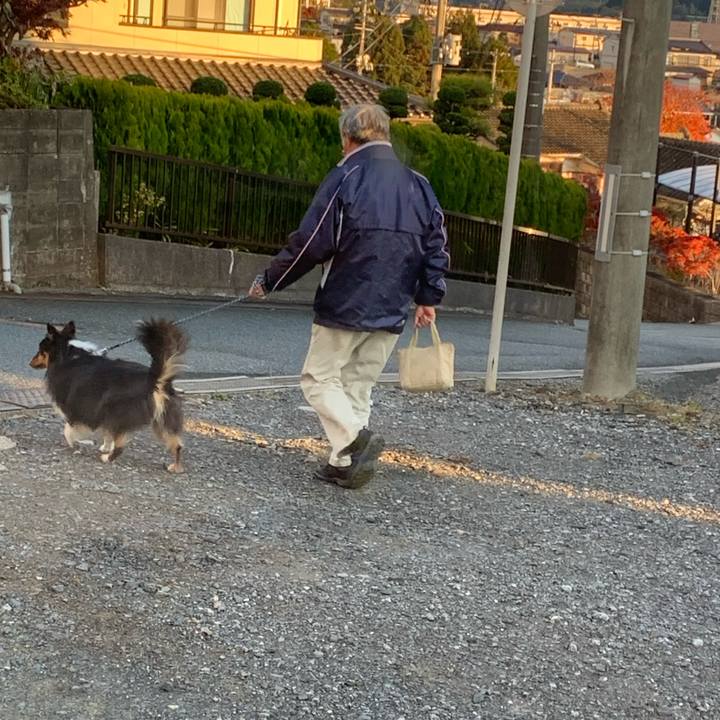 78b9ef5a 01c2 4cd6 8dfe 50c853ef5b52 1604958350503