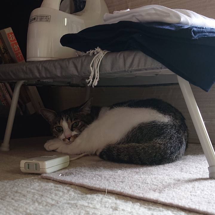 78ba088c de28 4f43 accf 4a24712548d0 1593910724405